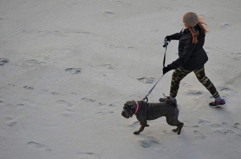 Gruppeturer med små, kompatible hundegrupper